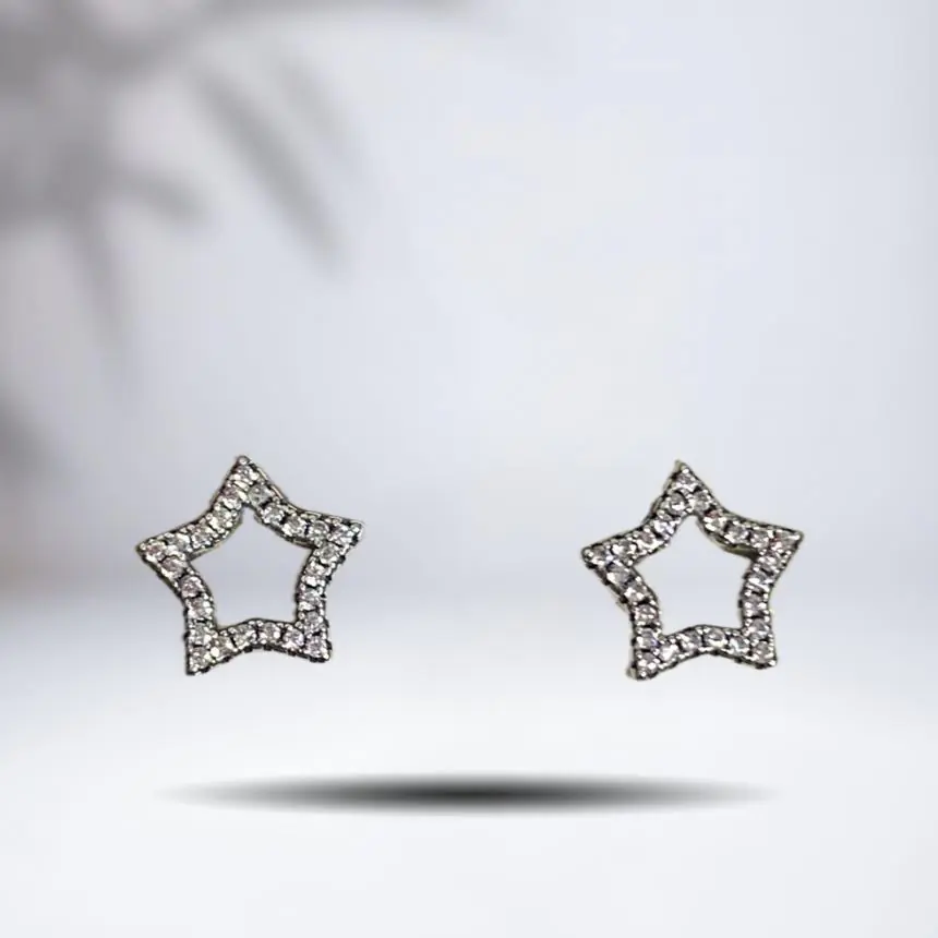 Brinco estrela vazada zircônia borda