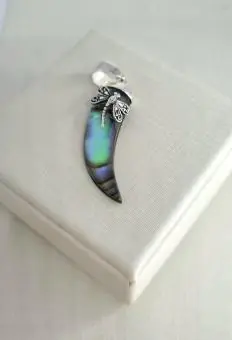 Pingente Abalone  Aplicação Libélula