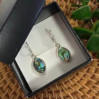 Brinco abalone gota gancho